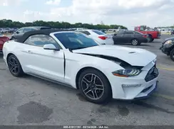 1FATP8UH8K5138811 2019 FORD MUSTANG