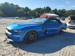 1FATP8UH8K5142048 2019 FORD MUSTANG