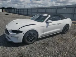 1FATP8UH8K5148755 2019 FORD MUSTANG