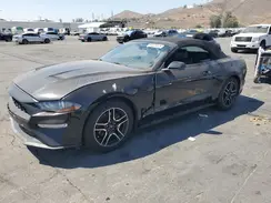 1FATP8UH8K5149226 2019 FORD MUSTANG
