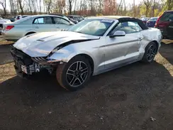 1FATP8UH8K5149243 2019 FORD MUSTANG