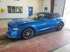 1FATP8UH8K5149596 2019 FORD MUSTANG