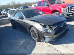 1FATP8UH8K5151266 2019 FORD MUSTANG