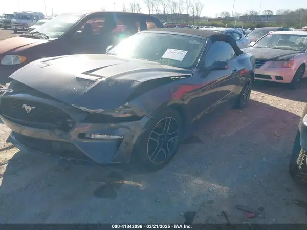 1FATP8UH8K5151266 2019 FORD MUSTANG - Image 2