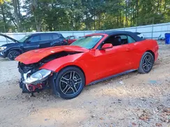 1FATP8UH8K5158489 2019 FORD MUSTANG