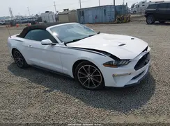 1FATP8UH8K5159500 2019 FORD MUSTANG