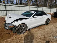 1FATP8UH8K5159674 2019 FORD MUSTANG