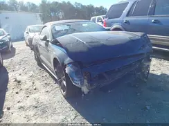1FATP8UH8K5159805 2019 FORD MUSTANG