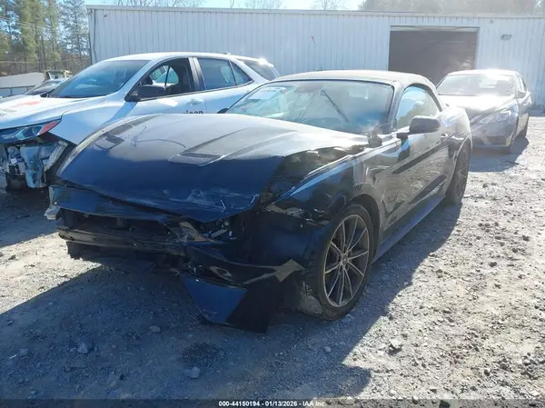 1FATP8UH8K5159805 2019 FORD MUSTANG - Image 2