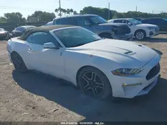1FATP8UH8K5162526 2019 FORD MUSTANG