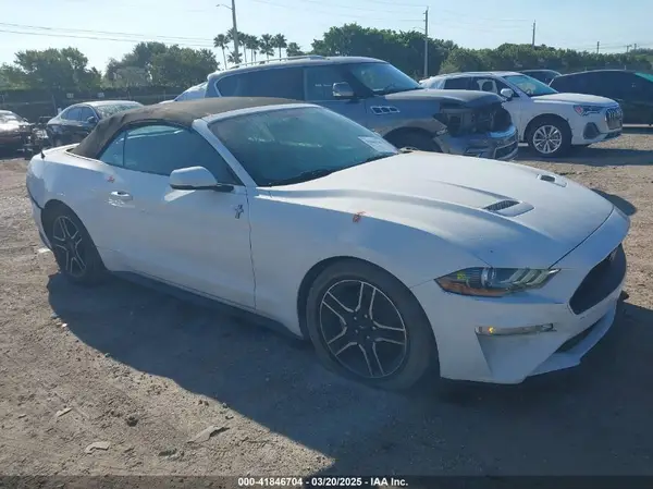 1FATP8UH8K5162526 2019 FORD MUSTANG - Image 1