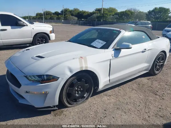 1FATP8UH8K5162526 2019 FORD MUSTANG - Image 2