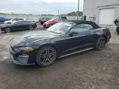 1FATP8UH8K5163742 2019 FORD MUSTANG
