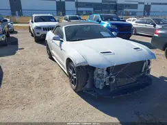 1FATP8UH8K5170254 2019 FORD MUSTANG