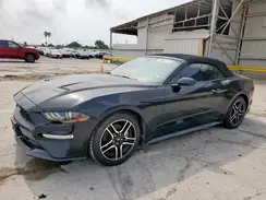 1FATP8UH8K5170822 2019 FORD MUSTANG
