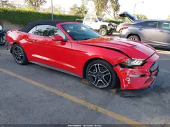 1FATP8UH8K5170934 2019 FORD MUSTANG