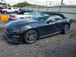 1FATP8UH8K5171128 2019 FORD MUSTANG