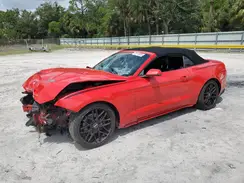 1FATP8UH8K5173610 2019 FORD MUSTANG