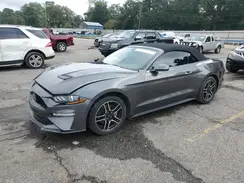 1FATP8UH8K5179374 2019 FORD MUSTANG