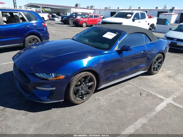 1FATP8UH8K5186020 2019 FORD MUSTANG - Image 2