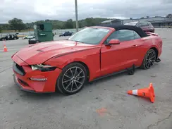 1FATP8UH8K5188799 2019 FORD MUSTANG