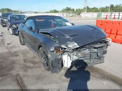 1FATP8UH8K5199978 2019 FORD MUSTANG
