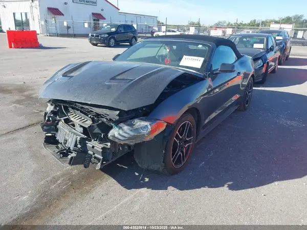1FATP8UH8K5199978 2019 FORD MUSTANG - Image 2