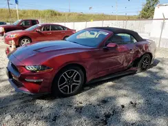1FATP8UH8K5204094 2019 FORD MUSTANG