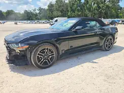 1FATP8UH8L5179800 2019 FORD MUSTANG