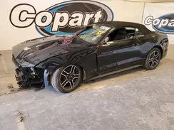 1FATP8UH8M5105164 2021 FORD MUSTANG
