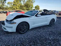 1FATP8UH8M5109408 2021 FORD MUSTANG