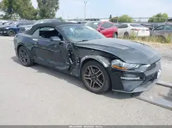 1FATP8UH8M5123051 2021 FORD MUSTANG