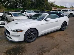 1FATP8UH8P5110840 2023 FORD MUSTANG