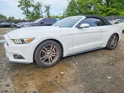 1FATP8UH9H5254477 2017 FORD MUSTANG
