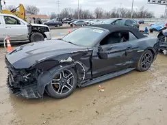 1FATP8UH9K5109527 2019 FORD MUSTANG