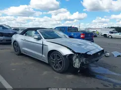 1FATP8UH9K5115604 2019 FORD MUSTANG