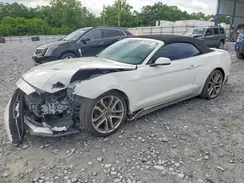 1FATP8UH9K5116686 2019 FORD MUSTANG