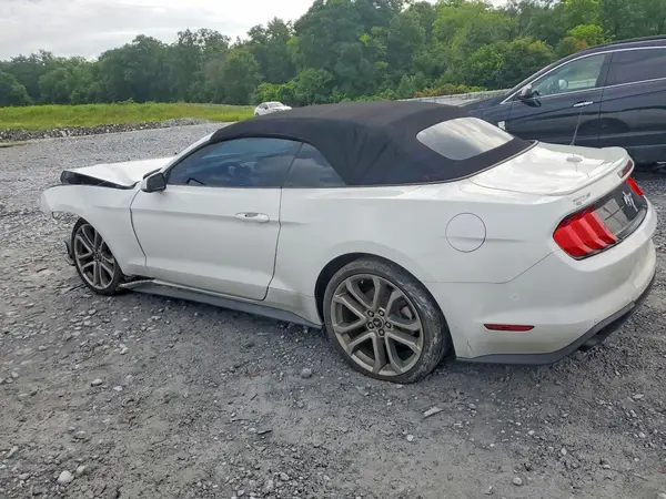 1FATP8UH9K5116686 2019 FORD MUSTANG - Image 2