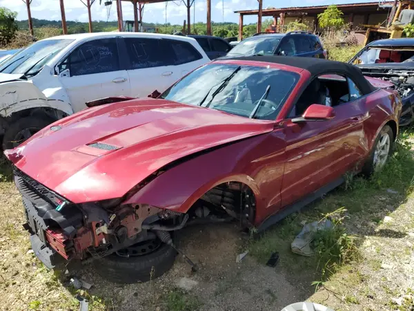 1FATP8UH9K5128594 2019 FORD MUSTANG - Image 1