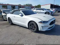 1FATP8UH9K5138722 2019 FORD MUSTANG