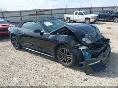 1FATP8UH9K5148585 2019 FORD MUSTANG