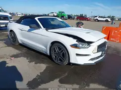 1FATP8UH9K5149381 2019 FORD MUSTANG