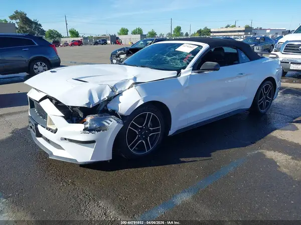 1FATP8UH9K5149381 2019 FORD MUSTANG - Image 2