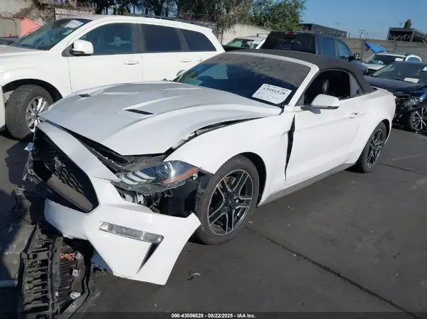 1FATP8UH9K5150286 2019 FORD MUSTANG - Image 2