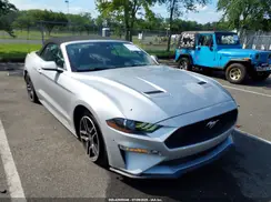 1FATP8UH9K5153284 2019 FORD MUSTANG