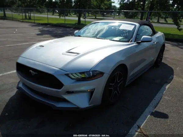 1FATP8UH9K5153284 2019 FORD MUSTANG - Image 2