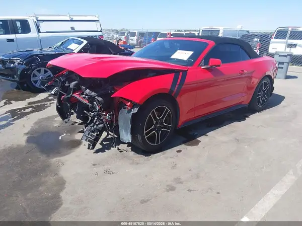 1FATP8UH9K5153365 2019 FORD MUSTANG - Image 2