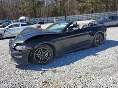 1FATP8UH9K5158405 2019 FORD MUSTANG
