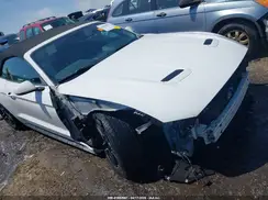 1FATP8UH9K5158484 2019 FORD MUSTANG