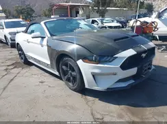 1FATP8UH9K5158789 2019 FORD MUSTANG